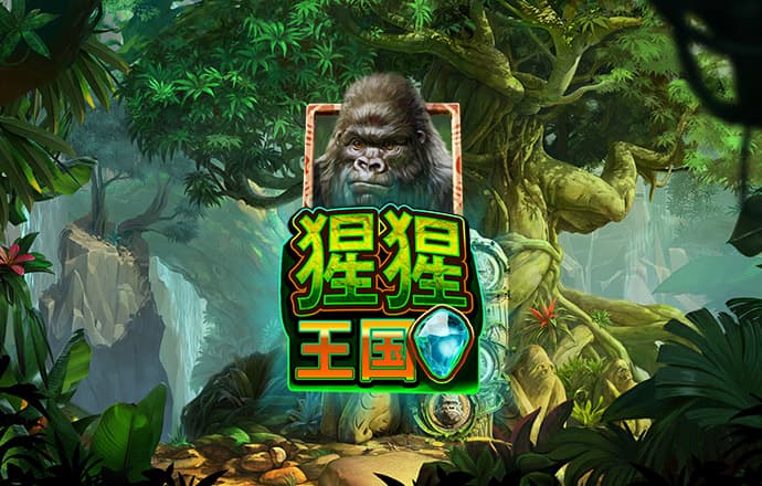 bob综合下载app